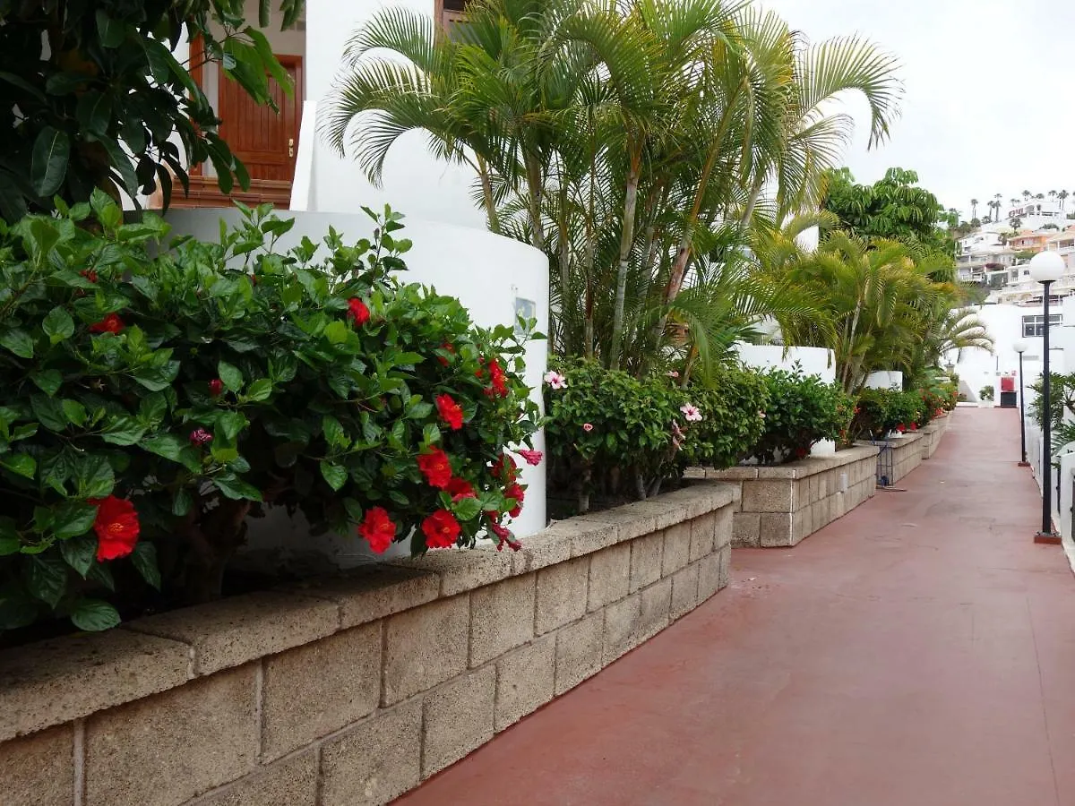 Heated Pool Sea View Speedy Wifi Apartment Costa Adeje
